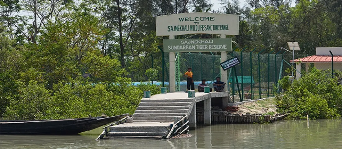 Sundarbans National Park Ticket Price: A Guide to Entry Fees and Other Costs