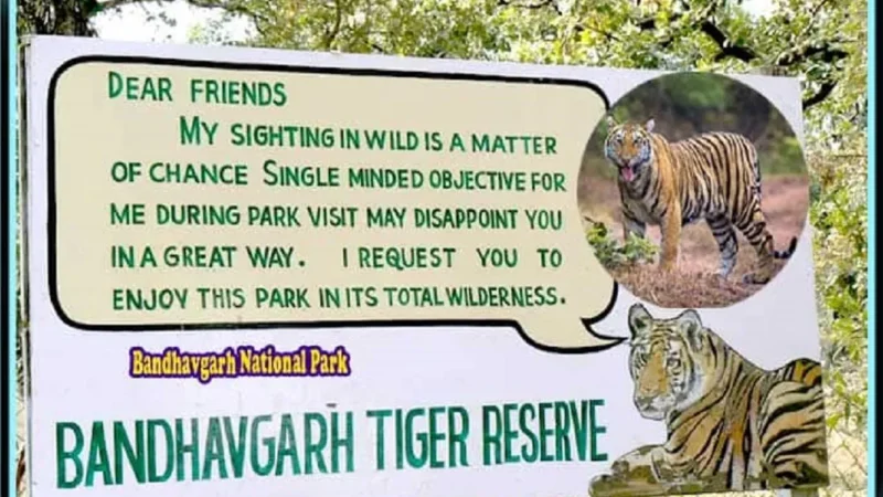 Where Is Bandhavgarh National Park