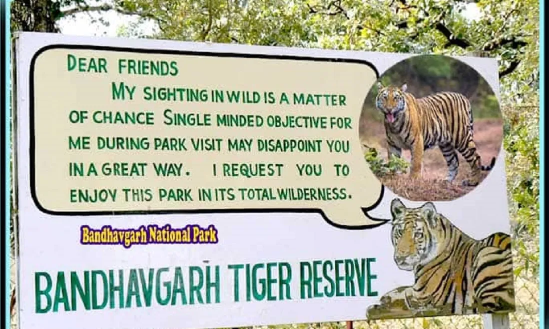 Where Is Bandhavgarh National Park