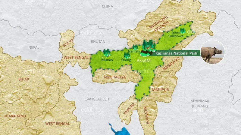 Where is the Kaziranga National Park