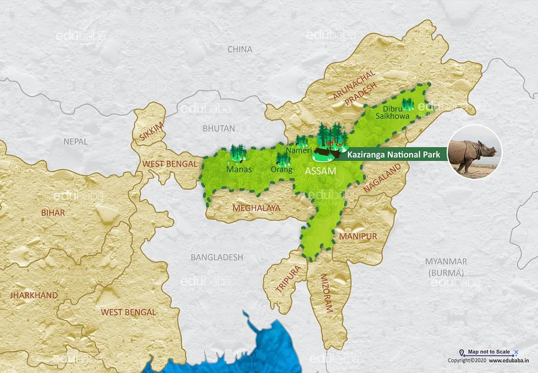 Where is the Kaziranga National Park