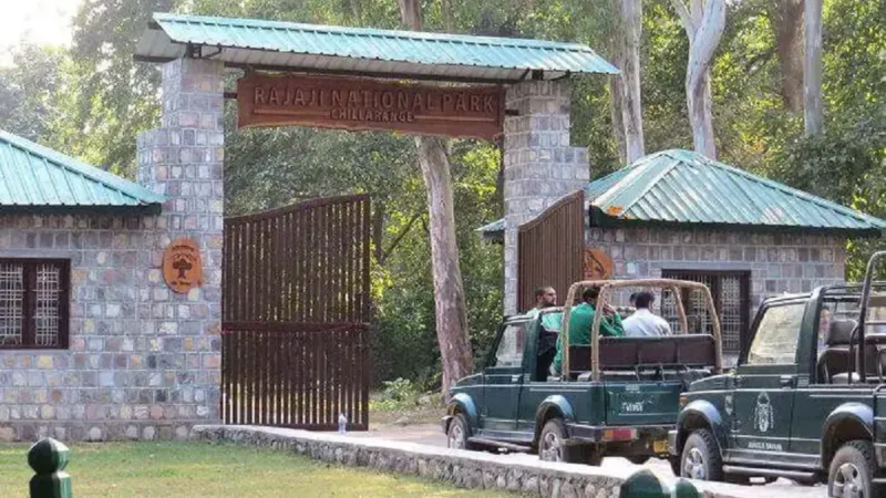 Rajaji National Park from Dehradun: Exploring the Wilderness