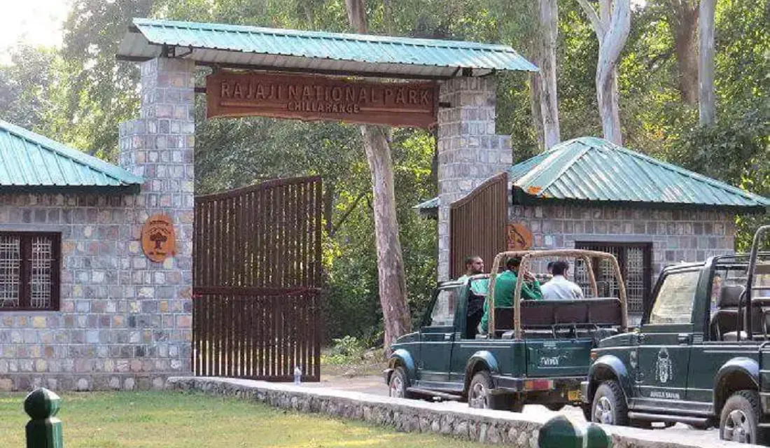 Rajaji National Park from Dehradun: Exploring the Wilderness