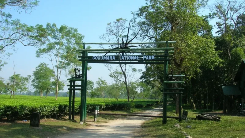 National Parks in West Bengal- पश्चिम बंगाल में स्थित नैशनल पार्क की जानकारी