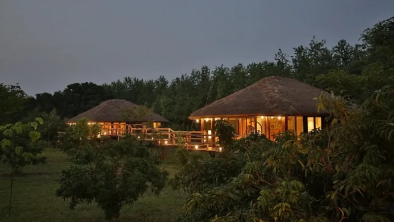 Jaagir Lodge Dudhwa National Park