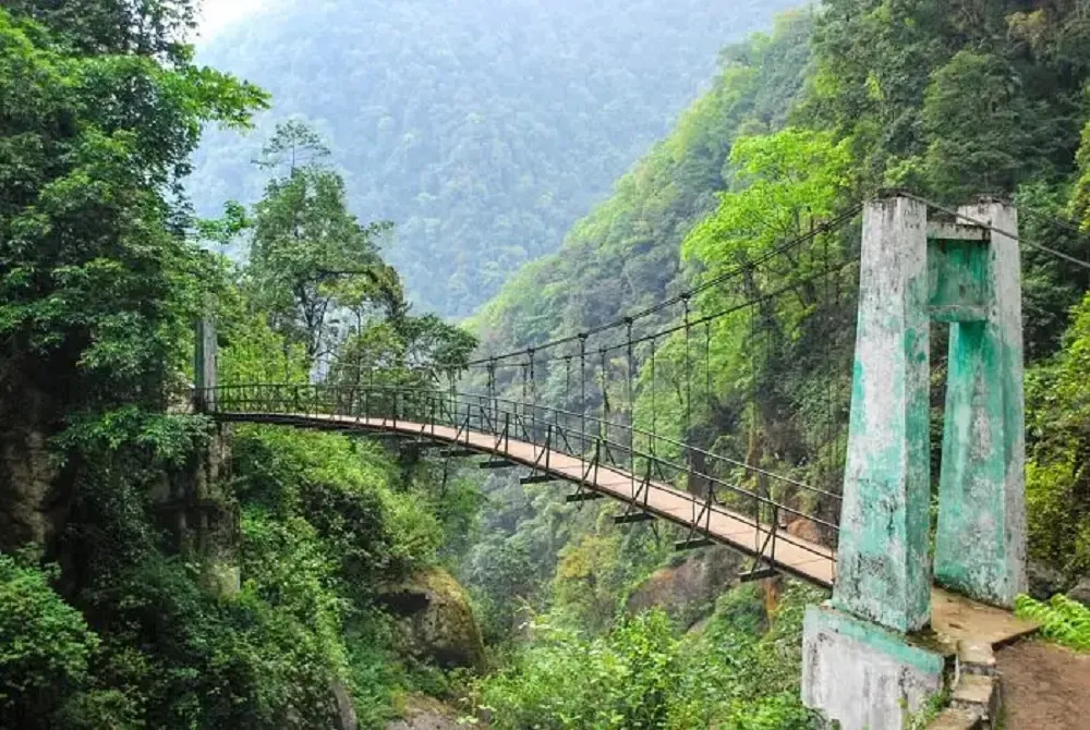 National Parks in Sikkim: A Wildlife Paradise in the Himalayas