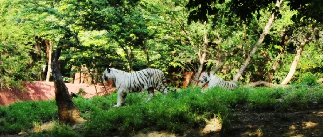 National Parks in Telangana