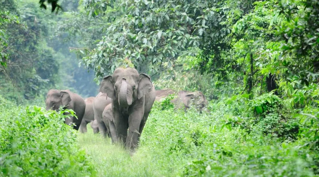 Wildlife Sanctuary in Arunachal Pradesh