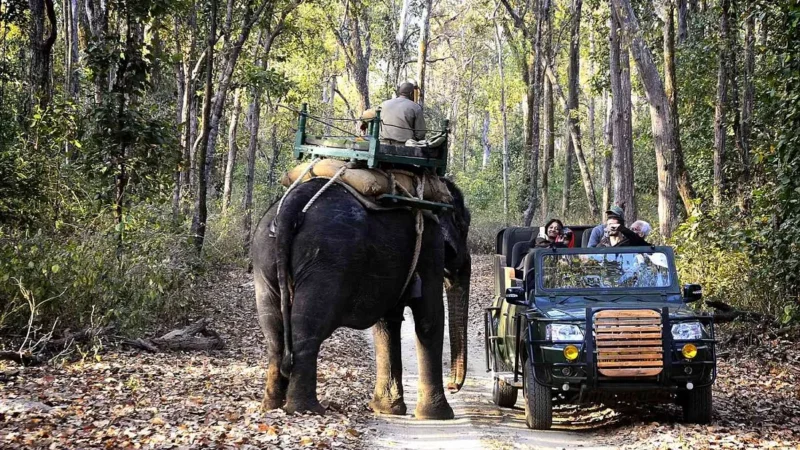 Booking For Kanha National Park