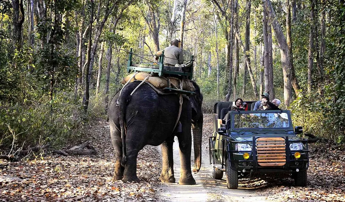 Booking For Kanha National Park