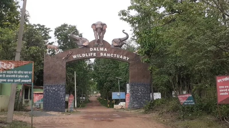 Best 10 Wildlife Sanctuary in Jharkhand