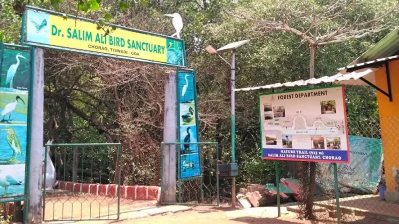 Best 6 Bird Sanctuary in Goa