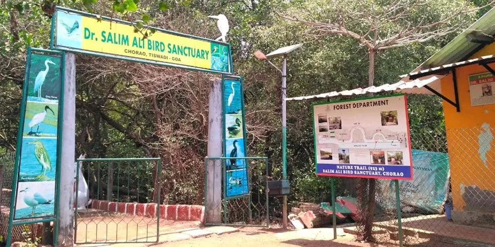 Best 6 Bird Sanctuary in Goa