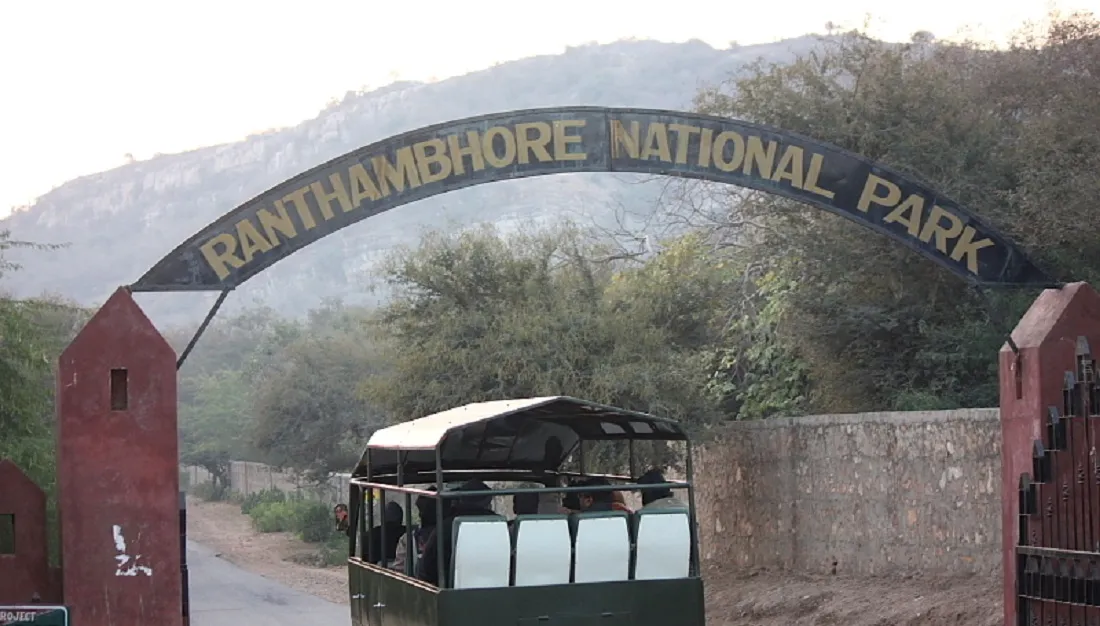 Jungle Safari in Ranthambore