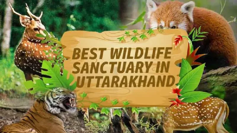 Top 10 Wildlife Sanctuary in Uttarakhand
