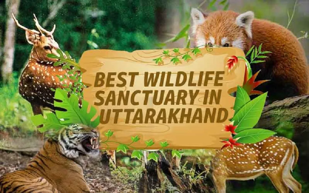 Top 10 Wildlife Sanctuary in Uttarakhand