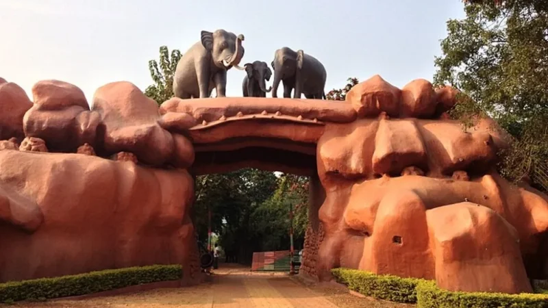 Top 15 Famous Wildlife Sanctuary in Odisha