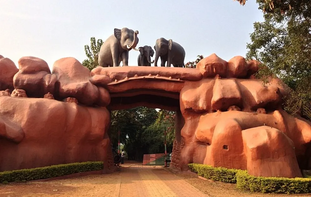 Top 15 Famous Wildlife Sanctuary in Odisha