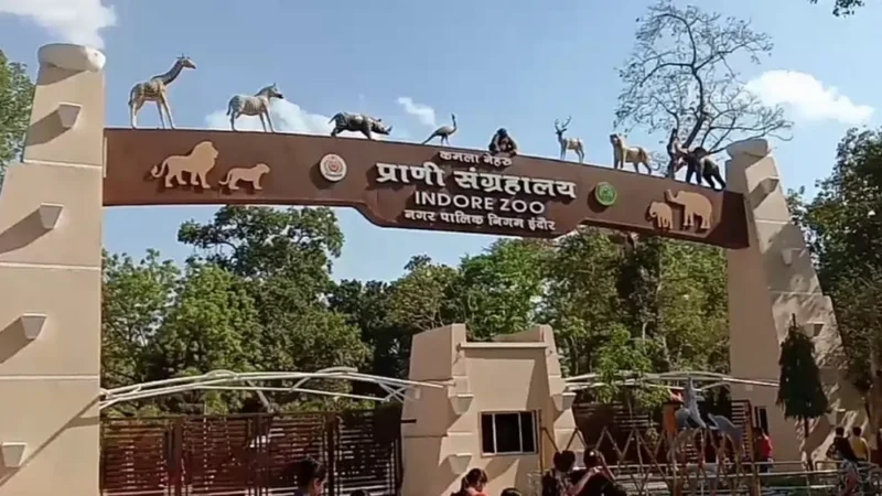 Zoo in Indore – Kamla Nehru Prani Sangrahalaya | Timing, Ticket, Wildlife and Fun Activities