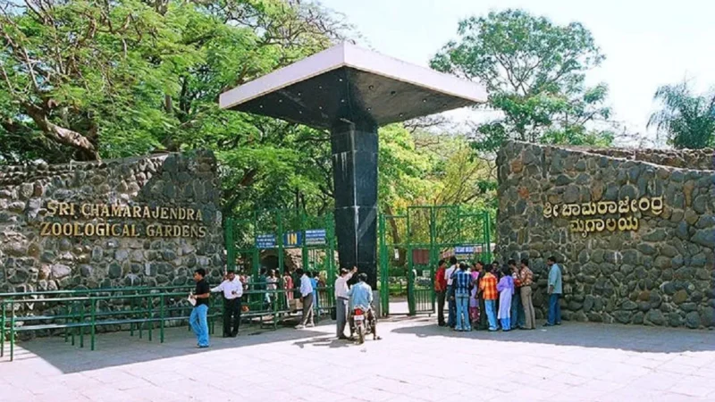 Zoo in Mysore: Sri Chamarajendra Zoological Gardens Timings, Animals, Ticket and Location