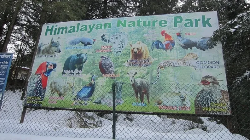 Zoo in Kufri – Himalayan Nature Park Kufri | Timing, Ticket, Flora and Fauna