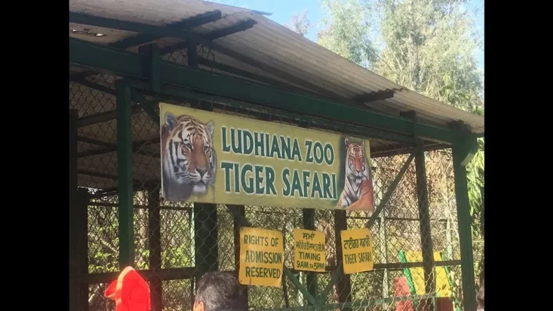 Zoo in Ludhiana – Tiger Safari Ludhiana | Ticket, Timing and What to See