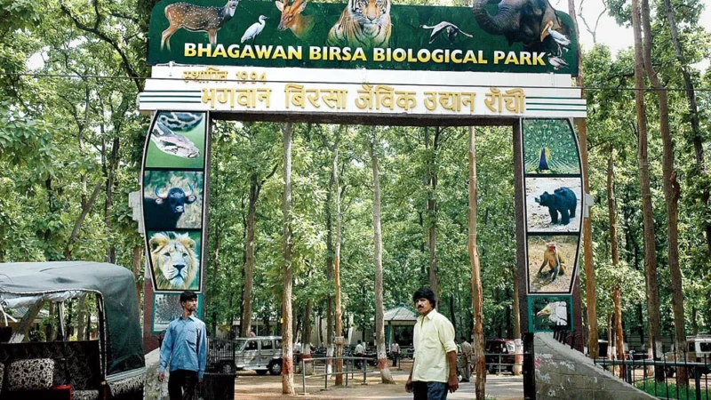 Zoo in Ranchi – Bhagwan Birsa Biological Park | Timing, Ticket, Flora and Fauna