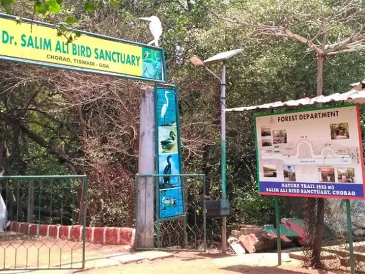 Salim Ali Bird Sanctuary in Goa: Entry Fee, Timings, Best time to visit and Birds