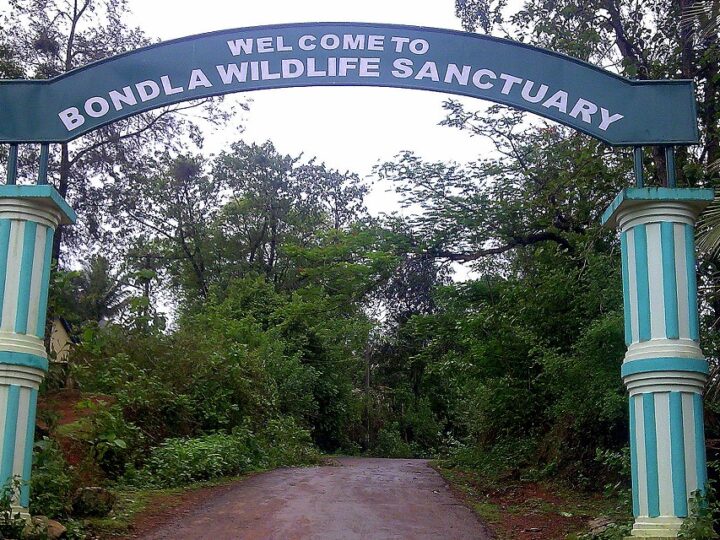 Zoo in Goa – Bondla Wildlife Sanctuary | Timing, Ticket, Flora and Fauna
