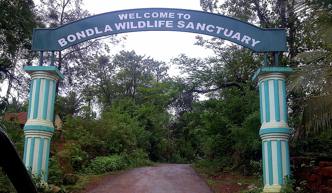 Zoo in Goa – Bondla Wildlife Sanctuary | Timing, Ticket, Flora and Fauna
