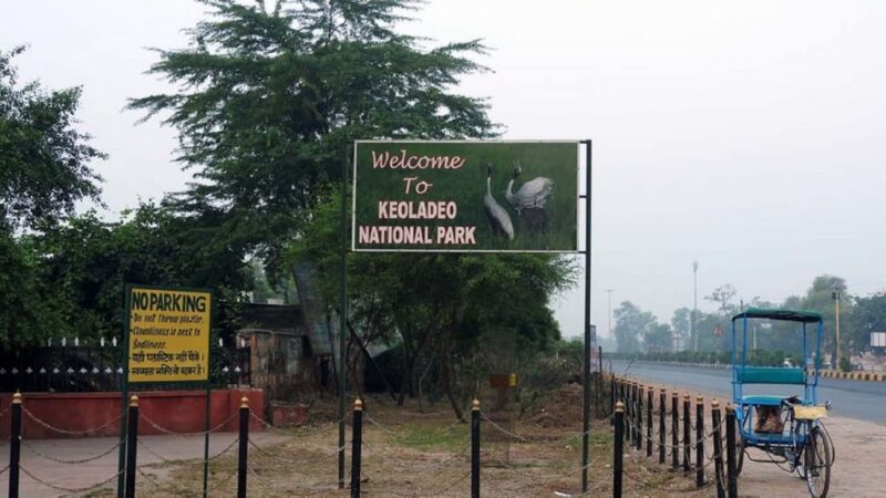 Bharatpur Bird Sanctuary in India – Keoladeo National Park | Ticket, Timing, Flora and Fauna